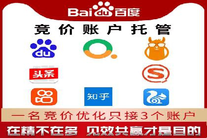 SEM托管公司成功案例：助力企业品牌提升